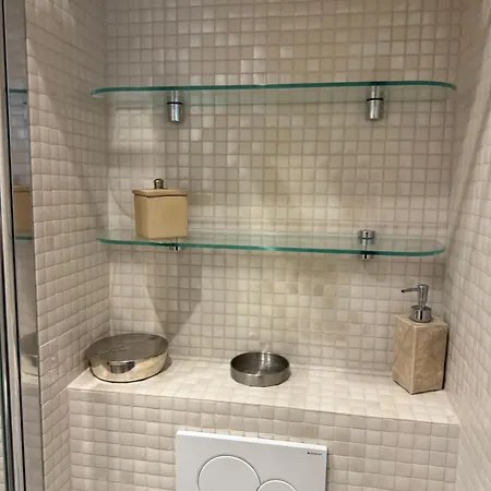 Petit Cocon Sur Ile St Louis 巴黎